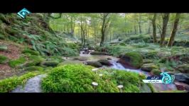طبیعت زیبای مازندران