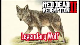 شکار گرگ لجندری  Legendary Wolf در Red Dead Redemption 2  حتما شکارش کنید