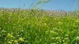 طبیعت روستای آتشگاه اردبیل