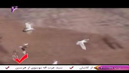 استاد غلام رسول فرهادی نیاگروه ندای جام