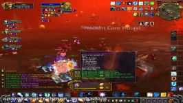 سرور فان World Of Warcraft   wegamers.ir   ما گیمرها