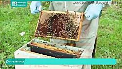 آموزش زنبورداری  پرورش نگهداری زنبور عسل  اصول پرورش زنبور عسل