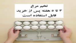 آیا میدانید هر ماده غذایی تا چه مدت پس باز شدن درب آن قابل استفاده است ️