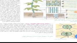 زیست دهم فصل 7 قسمت6 مدرس خانم بریمانی