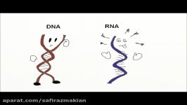 آموزش استخراج RNA فروش کیت 09357007743