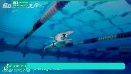 آموزش شنا  شنا حرفه ای  یادگیری شنا آموزش کامل شنا قورباغه 28423118 021