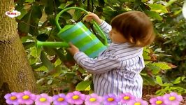 کارتون کودکانه کوتاه Avocados  Baby Farmer  BabyTV