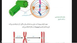 تدریس پیشرفته فوق حرفه ای زیست نکات تکنیکی تصویر سازی 09149285452 غیاثی