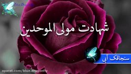 کلیپ شب قدر توسل به امام علی آهنگ شب قدر احیا کلیپ شهادت حضرت علی التماس دعا