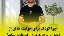 چرا کودکان برای خواسته هایشان لجبازی کردن استفاده می کنند؟