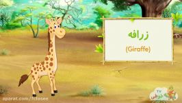 آموزش حیوانات وحشی به زبان فارسی  Wild Animals in Farsi Persian