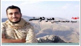 در کوی نیکنامان شهید مدافع حرم سید محمد حسین میردوستی