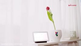 رمز گشایی زبان گلها بافناوری جدید گوگل Google Tulip