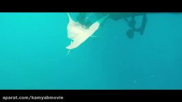 تریلر فیلم SHARKWATER EXTINCTION TRAILER 2018