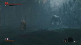 مبارزه Corrupted Monk بر علیه Headless Ape در بازی Sekiro Shadows Die Twice