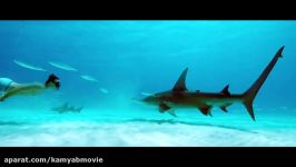 تریلر فیلم SHARKWATER EXTINCTION TRAILER 2018