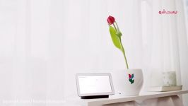 رمز گشایی زبان گلها بافناوری جدید گوگل Google Tulip