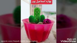 تهیه کاکتوس های سنگی نمدی، دوخت زیرلیوانی. پایه هشتم. دبیرستان فرزانگان