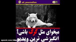 میخوای مثل گرگ باشی؟