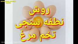 روش نطفه سنجی تخم مرغ جدا کردن تخم های بی نطفه دستگاه جوجه کشی