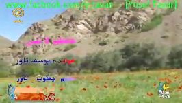 آهنگ شاد یوسف تاور پخش زنده شبکه اشراق yusaf tava