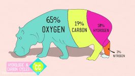 Nitrogen Phosphorus Cycles Always Recycle Part 2  Crash Course Ecology #9