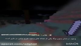 ده نشانه وجود هیرو براین در ماینکرافت