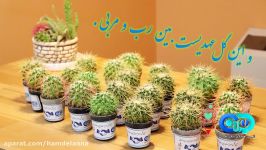 همایش همدلی انجمن همدلان نیک اندیش