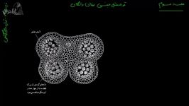 آموزش زیست شناسی2 تولید مثل جنسی نهان دانگان