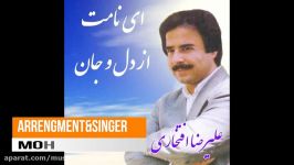 اجرای قطعه ای نامت دل جان علیرضا افتخاری توسط محسن امیری