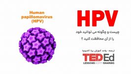 HPV زگیل تناسلی چیست چگونه می تواند خود را آن محافظت کنید؟