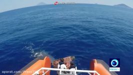 Whale trapped in fishing net freed by coast guard in Italy