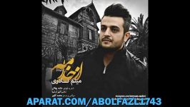 آهنگ جدید شاد میثم نادری  خدامه