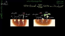 آموزش زیست شناسی2 جوانه زنی رشد نمو