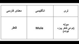 واژگان مشترک زبان لری زبان انگلیسیکلیپ شماره5