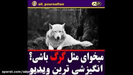 میخوای مثل گرگ باشی ؟؟؟ حتما نگاه کن عالی عالی