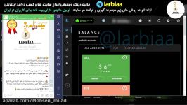 برداشت 20 هزار روبلی یک ایرانی سایت money birds