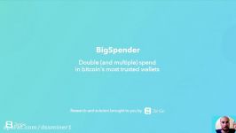        dssminer.com Unveiling BigSpender  Double and Multiple Spend