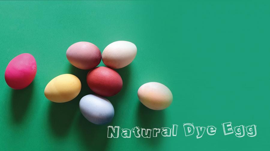 Seven Natural Ways To Dye Eggs هفت راه طبیعی برای رنگ کردن تخم مرغ