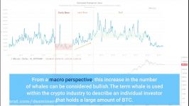        dssminer.com Bullish Case for Bitcoin Grows as BTC Whale Populat