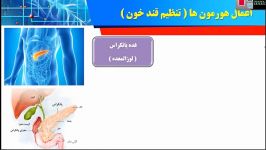 احمد حمیدی تدریس تنظیم هورمونی علوم هشتم تنظیم قند خون