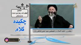 سید حسین هاشمی نژاد   لطف امام رضا علیه السلام به زوارشان