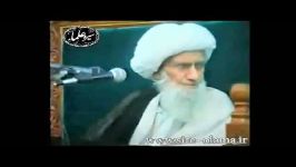 علامه امینی توسط دستان امام علی ع حوض کوثر.