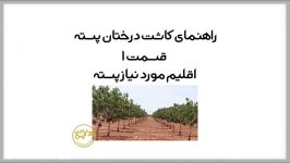 اقلیم مورد نیاز پسته