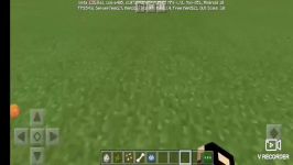 آموزش رام کردن گرگ طوطی در mine craft