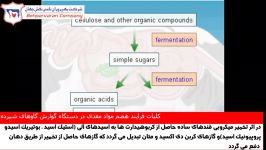 کلیات فرایند هضم مواد مغذی در دستگاه گوارش گاوهای شیرده