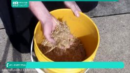 آموزش پرورش قارچ  پرورش قارچ صدفی خرد کردن سریع کاه برای پرورش قارچ