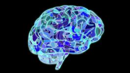 اگراز ۱۰۰ مغز استفاده کنیم چی میشه #علمی #تکنولوژی# دانستنی