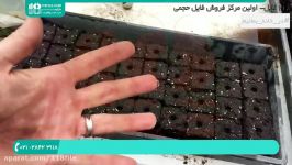 آموزش ساخت گلخانه  کشت گلخانه ای  احداث گلخانه خانگی کاشت بذر