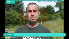 آموزش جامع زنبورداری  پرورش زنبور عسل  زنبورداری مدرن ویروس مزمن فلج زنبور